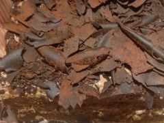 黑森林-糕材生(龙湖北京大兴天街店)