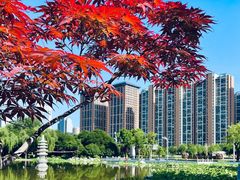 -木塔寺遗址生态公园