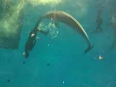 -华夏文旅海洋公园