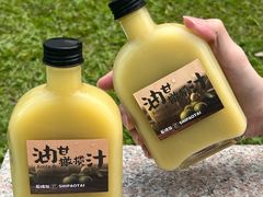 -石炮台公园