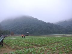 -广州市石门国家森林公园
