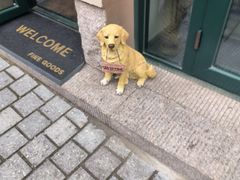 -上街里市集(悦喜客来广场店)