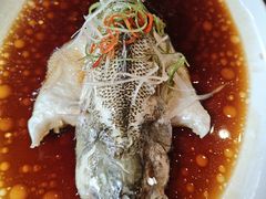 葱油蒸鲈鱼-古南都·老广东酒楼(龙江店)