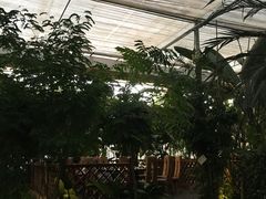 -汤山翠谷生态餐厅