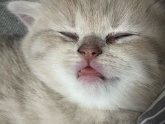 -鹭园酒家·四十年老字号