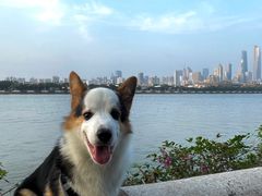 -珠江夜游广州塔·中大码头