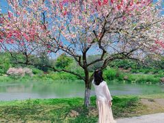 -汉陵苑