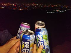 -长虫山生态公园风景林