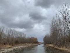 -蒲河岛湿地公园