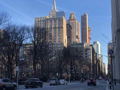 -Lady M Cake Boutique(麦迪逊大道店)