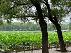 -长春市南湖公园