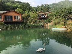 -杭州开元森泊度假乐园