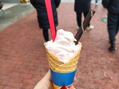 草莓红豆-DQ·蛋糕·冰淇淋(石家庄北国奥特莱斯店)