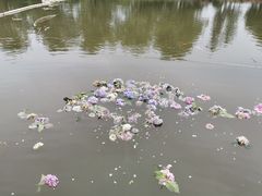 -杭州六谷生态休闲农庄有限公司