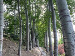 -元大都城垣遗址公园