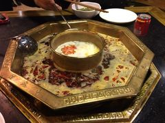 蜀九香火锅酒楼(彩虹店)-蜀九香火锅(彩虹店)