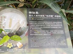 -正佳雨林生态植物园