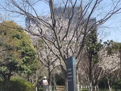 -七宝老街-闵行市民文化广场