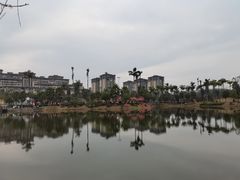 -枫香湖儿童公园