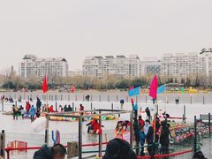 -紫竹院公园冰场