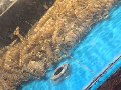 -老船长海鲜加工店(世纪家园店)