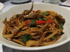 -壹盏灯(惠农店)