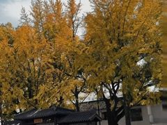 -伟记奥面馆(养育巷店)