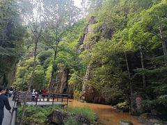 -茅兰沟国家森林公园