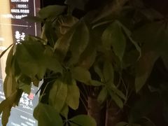 -泰之源足浴会所(玉环店)