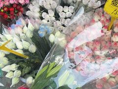 -循礼门鲜花花市(武汉循礼门店)