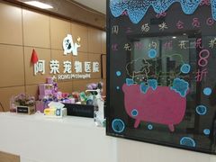 -阿荣24H宠物医院·综合型转诊中心·CT·核磁影像中心
