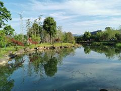 -兰亭风景区