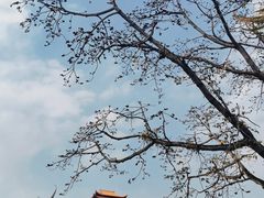 -梵天禅寺