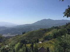 -紫鹊界梯田景区