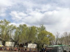 -尚庄度假村·庭台树下·户外烧烤·团建CS·轰趴营地(上庄水库店)