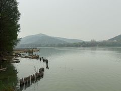 -长广溪湿地公园