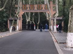 -灵谷景区