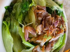 -百利鸽王(紫薇路店)