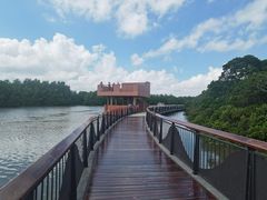 -东寨港红树林旅游区