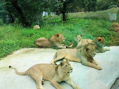 -西安秦岭野生动物园