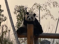 -杭州野生动物世界