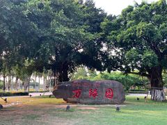 -万绿园