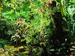 -太平洋海底世界