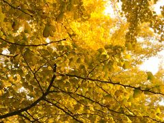 -辽东学院(南校区)