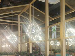 -原味四季椰子鸡(公明百佳华店)