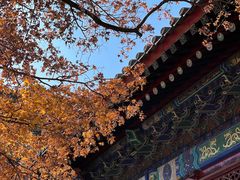 -香山公园
