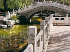 -丰台科技园生态主题公园