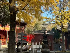 -长春观