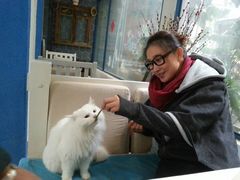 Anne猫窝咖啡屋-Anne猫窝咖啡屋