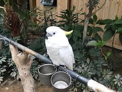 -南宫五洲植物乐园